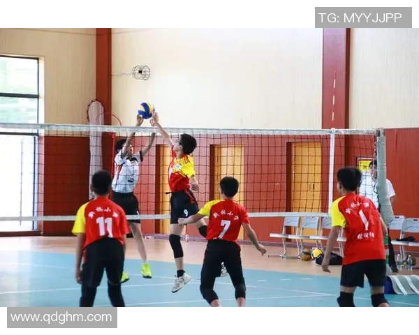 赛后分析：上海排球队与重庆排球队实力对比及比赛亮点回顾