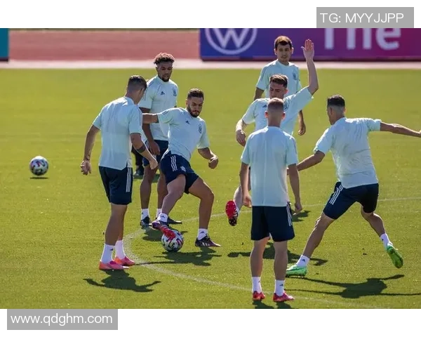 西班牙队在欧锦赛中的团队配合与战术执行全面分析