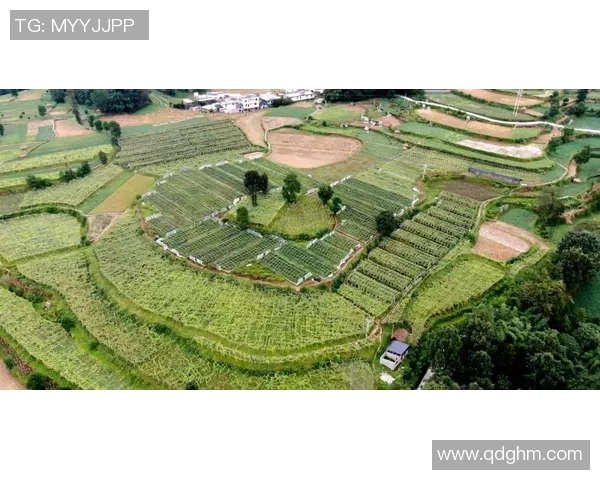 重庆羽毛球队转型纪实:从传统到现代的奋斗与蜕变之路 重庆羽毛球队转型纪实:从传统到现代的奋斗与蜕变之路